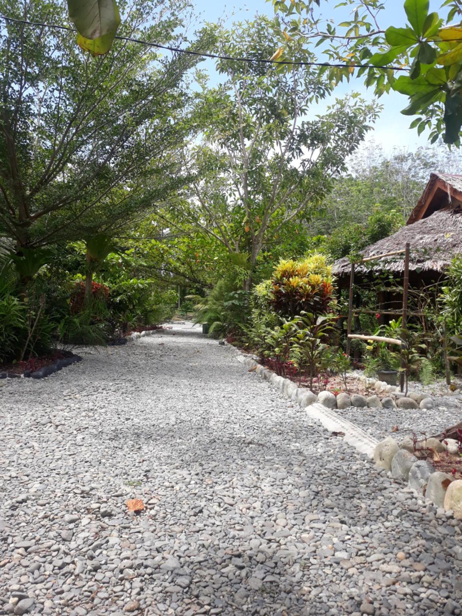 Magpie Homestay & Jungle Trekking Especially For Guest Trekking With Us Bukit Lawang Bagian luar foto
