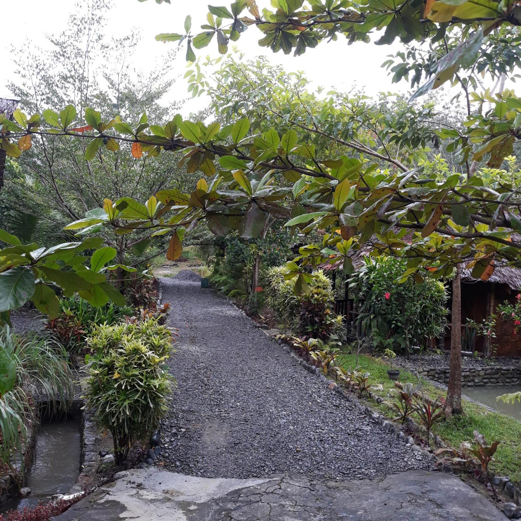Magpie Homestay & Jungle Trekking Especially For Guest Trekking With Us Bukit Lawang Ruang foto