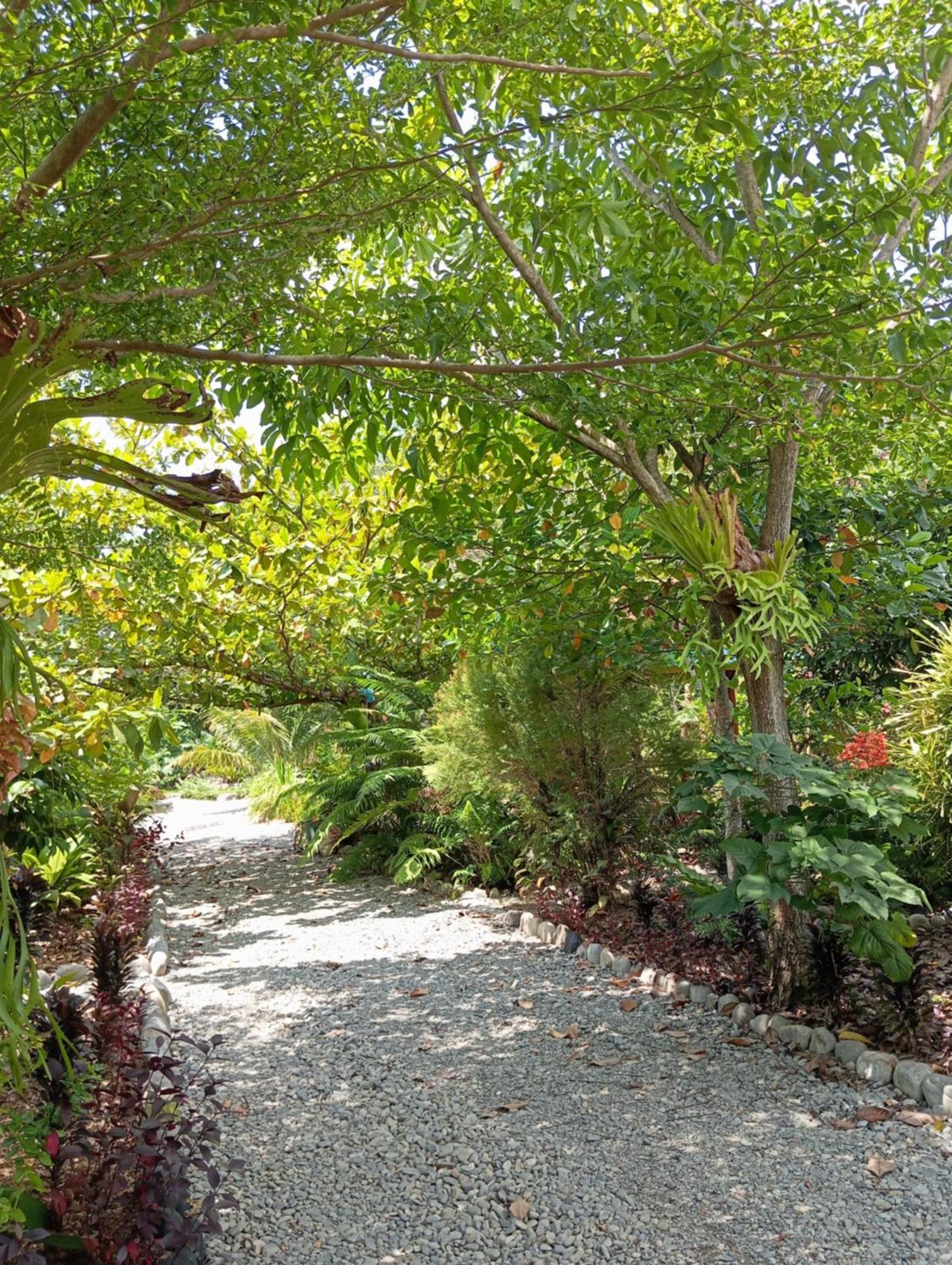 Magpie Homestay & Jungle Trekking Especially For Guest Trekking With Us Bukit Lawang Bagian luar foto
