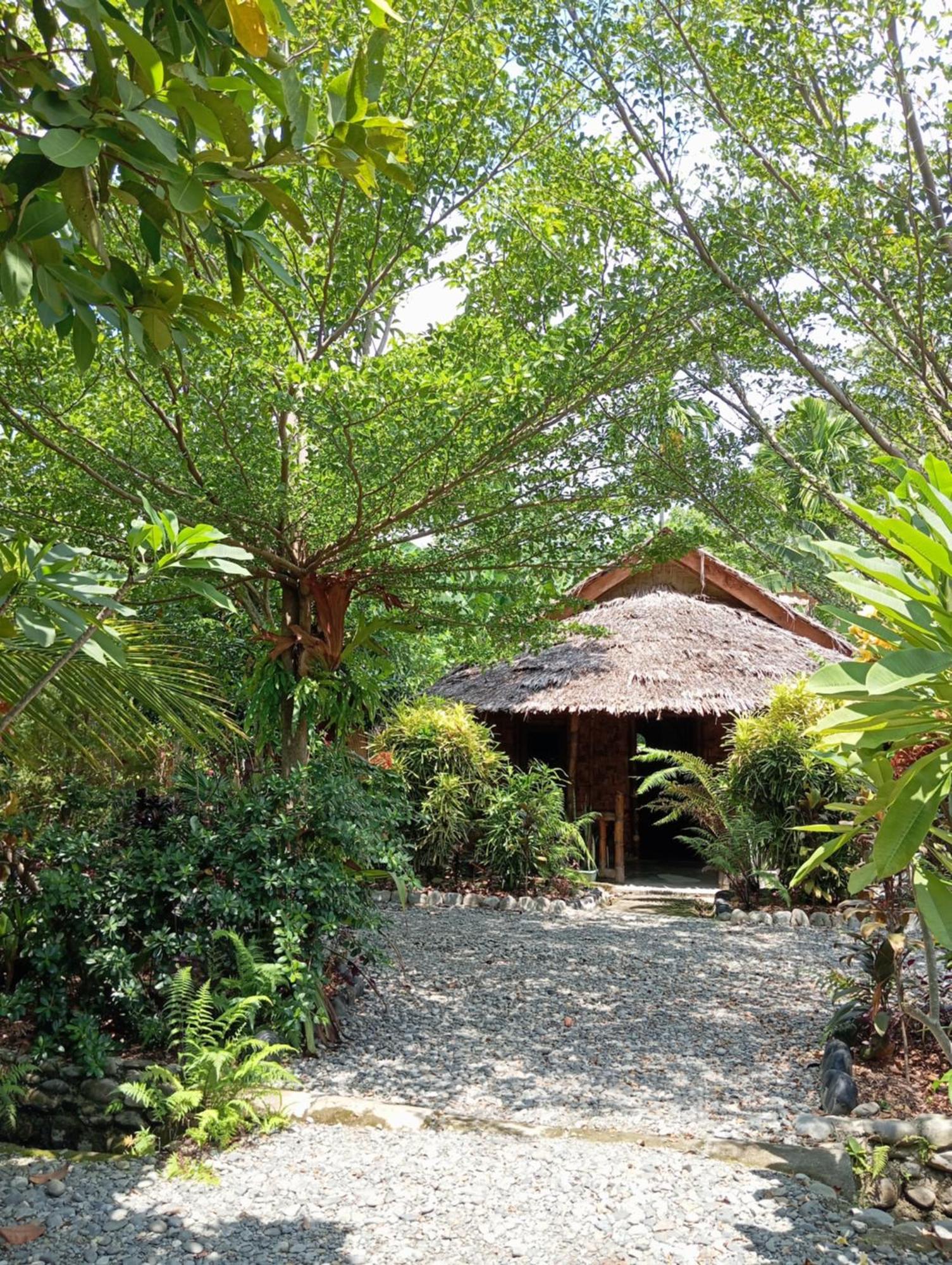 Magpie Homestay & Jungle Trekking Especially For Guest Trekking With Us Bukit Lawang Bagian luar foto