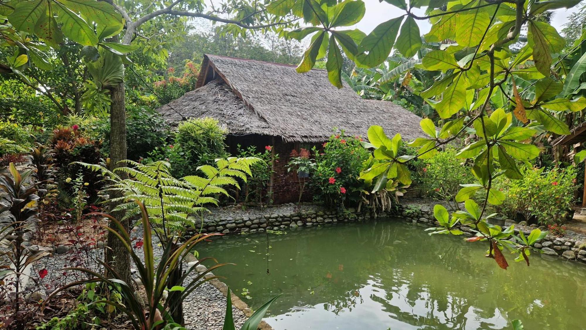 Magpie Homestay & Jungle Trekking Especially For Guest Trekking With Us Bukit Lawang Bagian luar foto