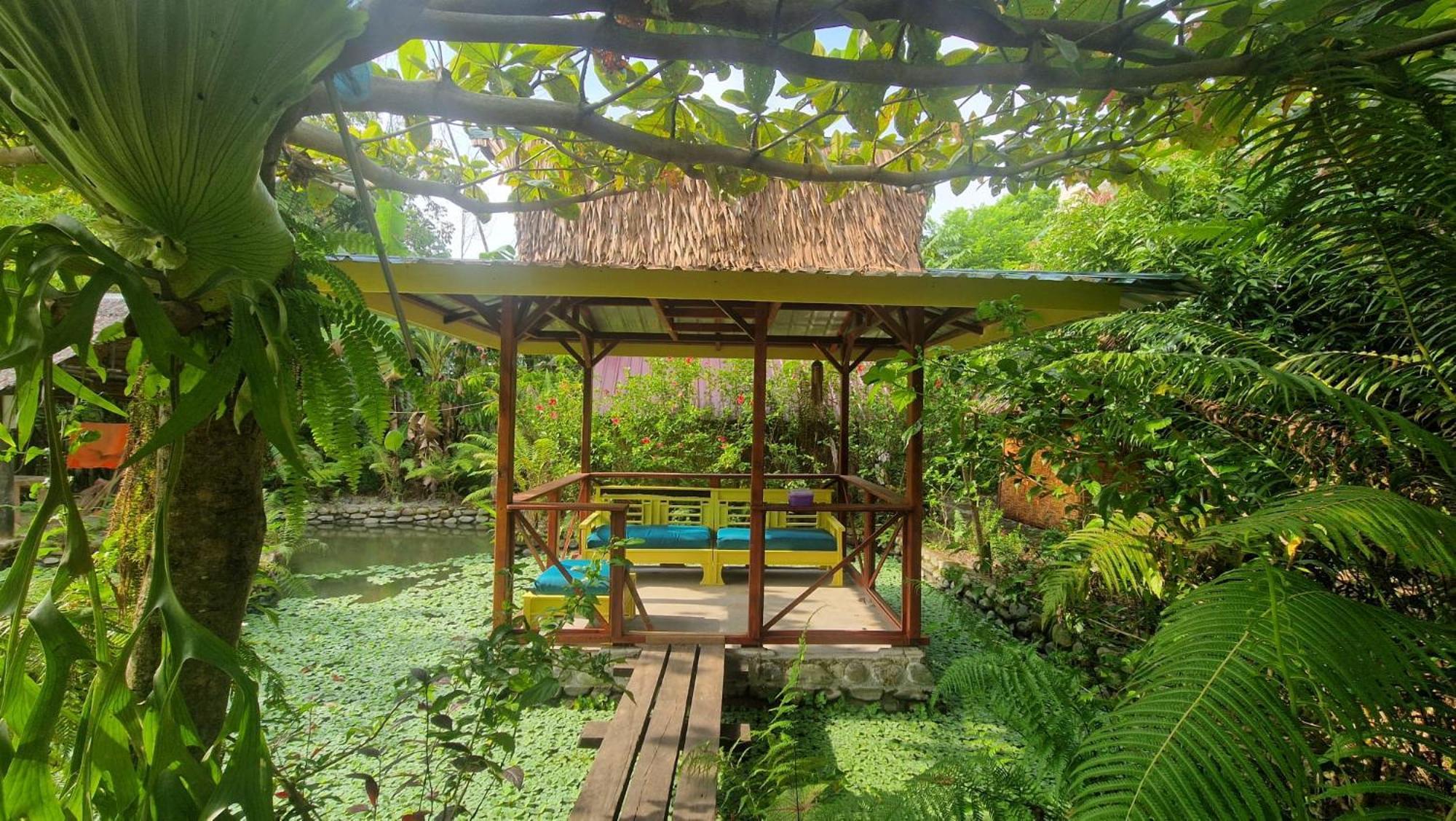 Magpie Homestay & Jungle Trekking Especially For Guest Trekking With Us Bukit Lawang Bagian luar foto