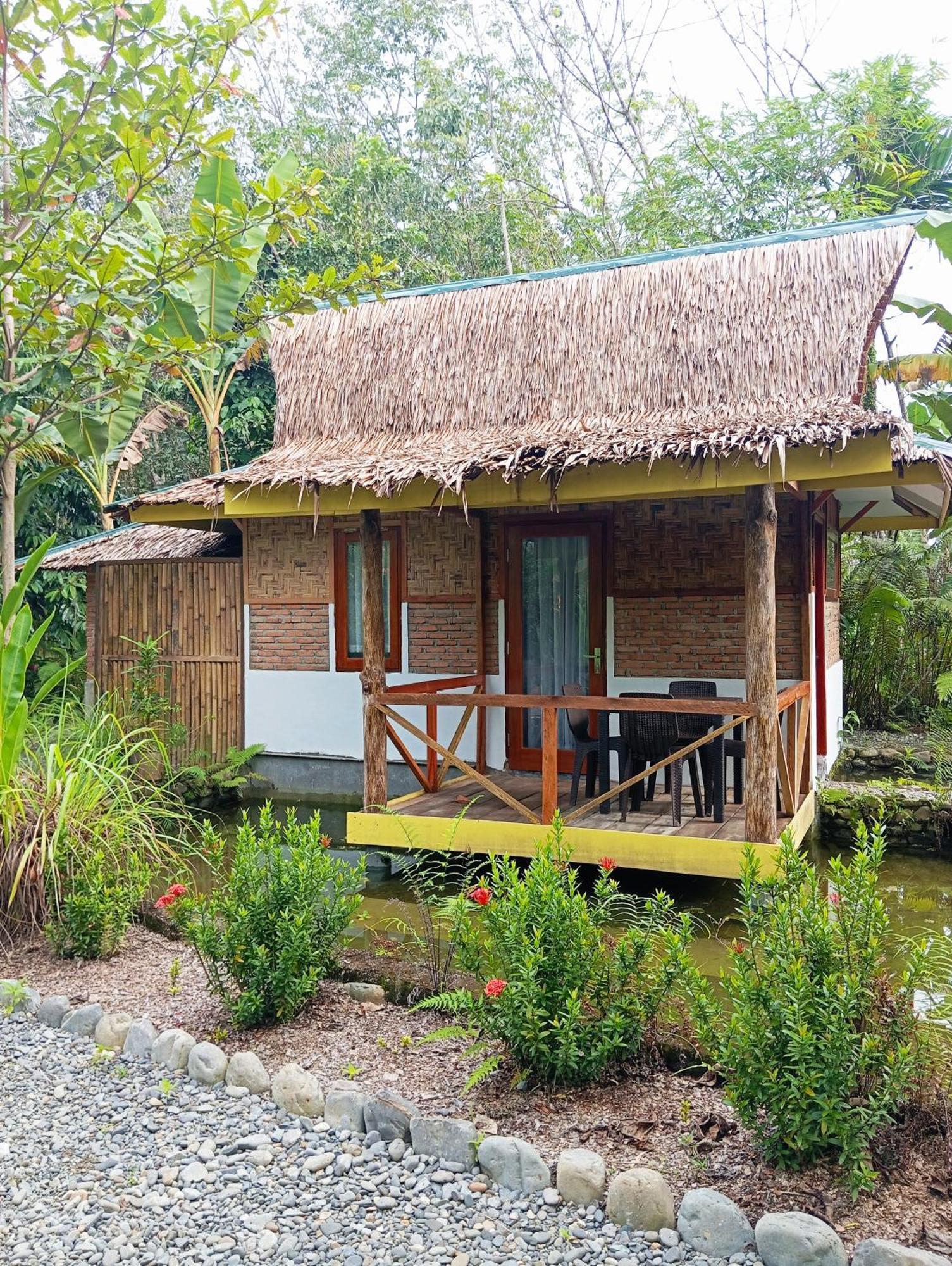 Magpie Homestay & Jungle Trekking Especially For Guest Trekking With Us Bukit Lawang Bagian luar foto