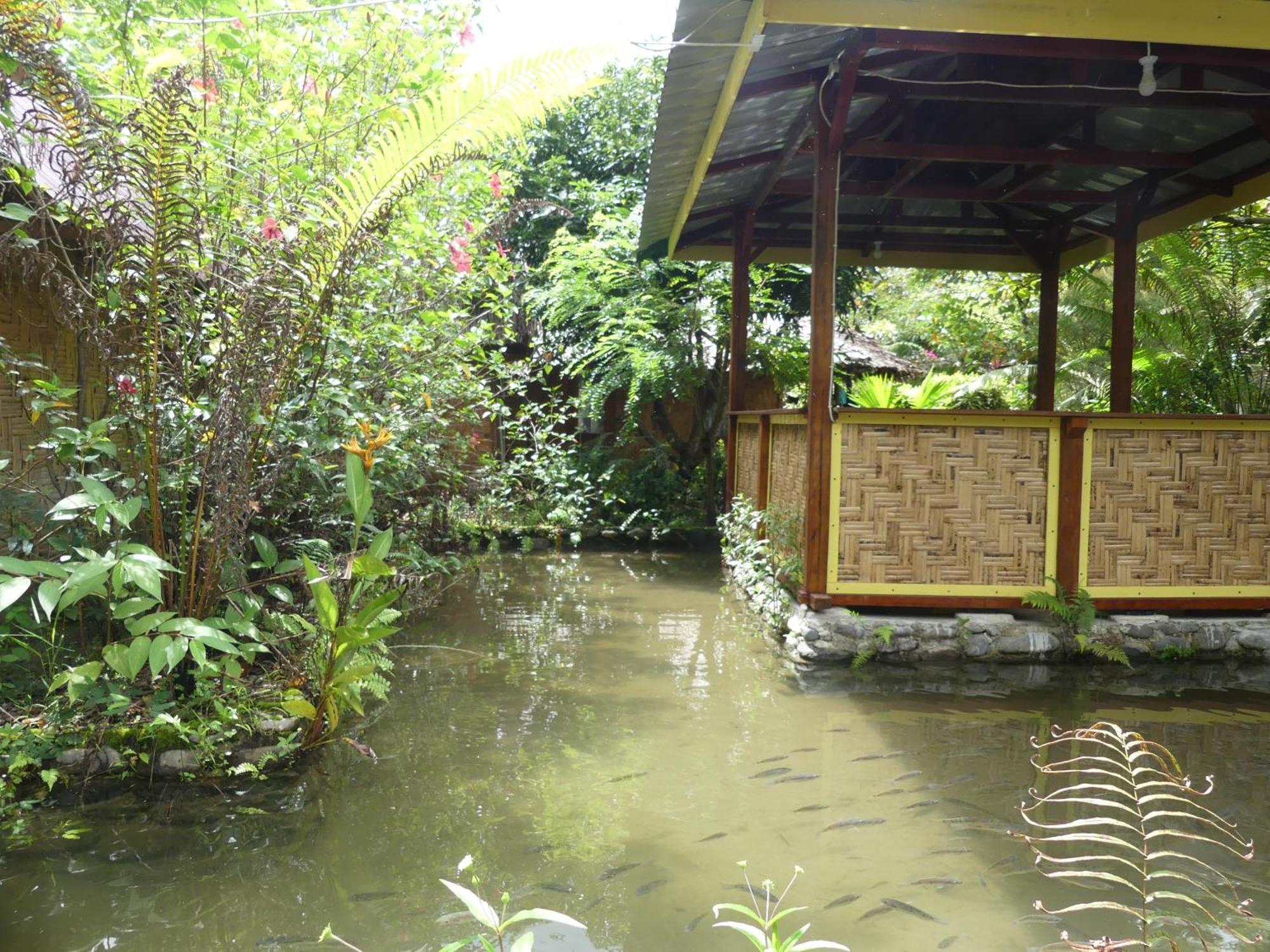 Magpie Homestay & Jungle Trekking Especially For Guest Trekking With Us Bukit Lawang Ruang foto